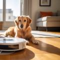 I Spent $800 on a Robot Vacuum So I Could Sleep 3 More Hours Per Week